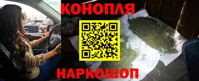 прущие крисы Кимры