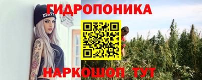 прущие крисы Кимры