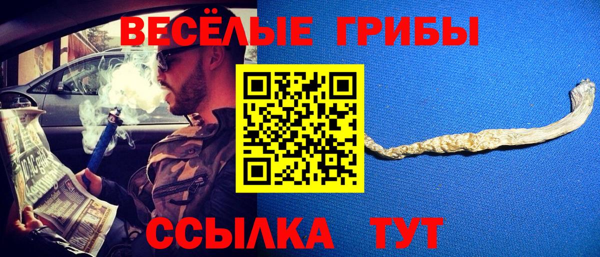 цена наркотик  Вход с VPN  Котовск  Галлюциногенные грибы GOLDEN TEACHER 