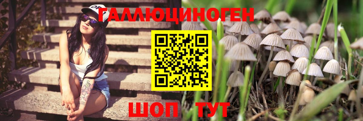 Псилоцибиновые грибы прущие грибы Котовск